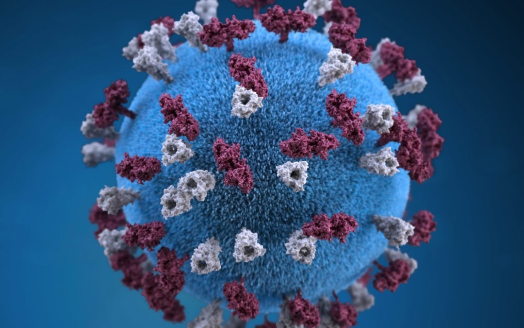Enfermedad por coronavirus (COVID-19) en embarazo, parto y lactancia