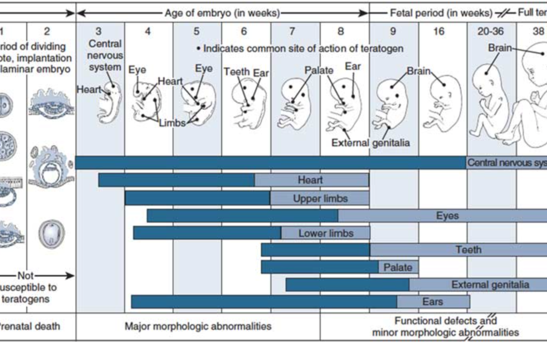 Anestesia para cirugia no obstetrica durante el embarazo – Clinical Obstetrics and Gynecology
